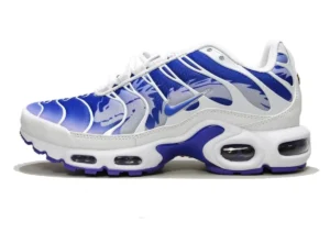 Nike Air Max Plus Tn Dragon Reflective new